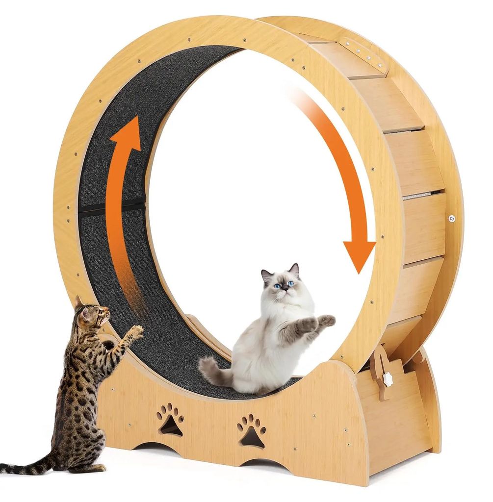 Roue d'exercice pour chats - Roue extra-large - 86 cm - Image du produit 