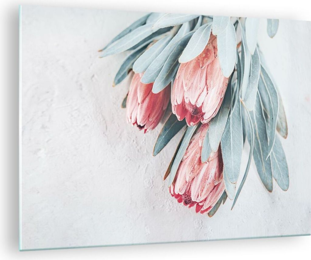 Bilder auf glas - Einteilig - Blume Eukalyptus Australier - 70x50cm - Glasbilder - Wandbilder - Bilder - Wanddekoration aus Glas - Glas Bilder - Wa...