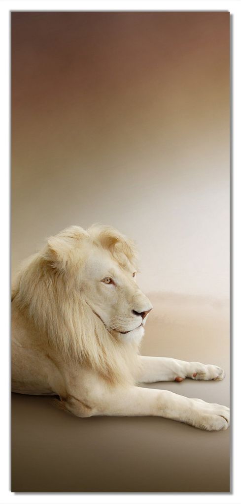 Wallario selbstklebende Türtapete 93 x 205 cm - Löwenfamilie mit Jungtieren - Abwischbar, rückstandsfrei zu entfernen