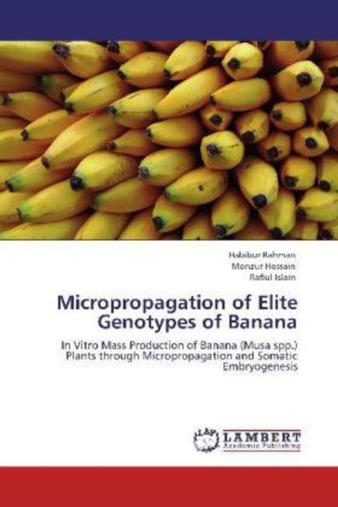 Rahman, H: Micropropagation of Elite Genotypes of Banana