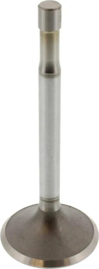 Soupape d'admission pour moteur BMW 1134101 pièce de rechange d'origine