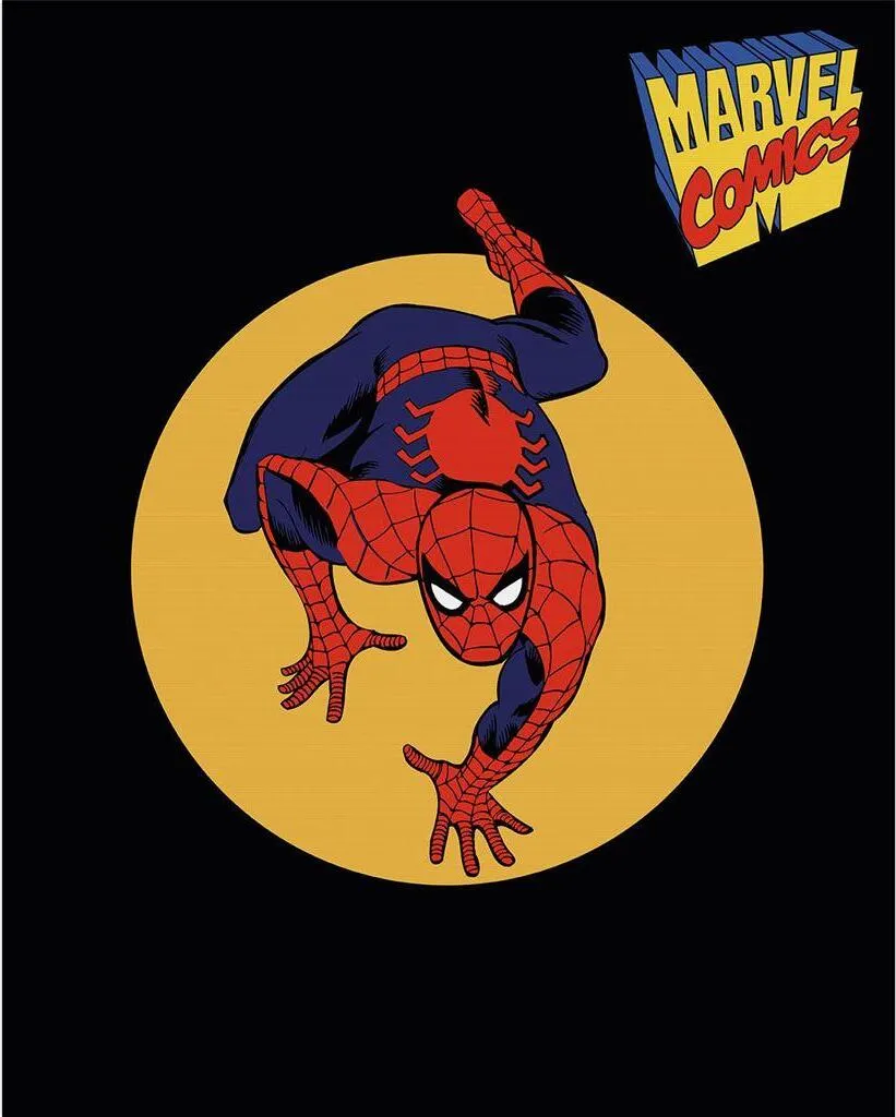 Déco Murale Marvel Spider-Men Toile Qualité Pro 50x40 cm Cadre Noir