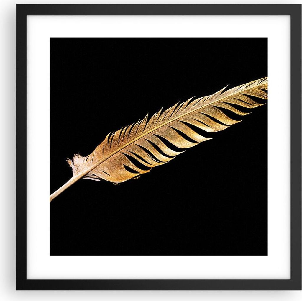 Gerahmtes Poster - Schwarzer Rahmen - Golden Feder Schwarz - 40x40 cm - Wand Bild - Wanddeko - Wandbilder - Kunstposter - Wandposter - Bilderrahmen...