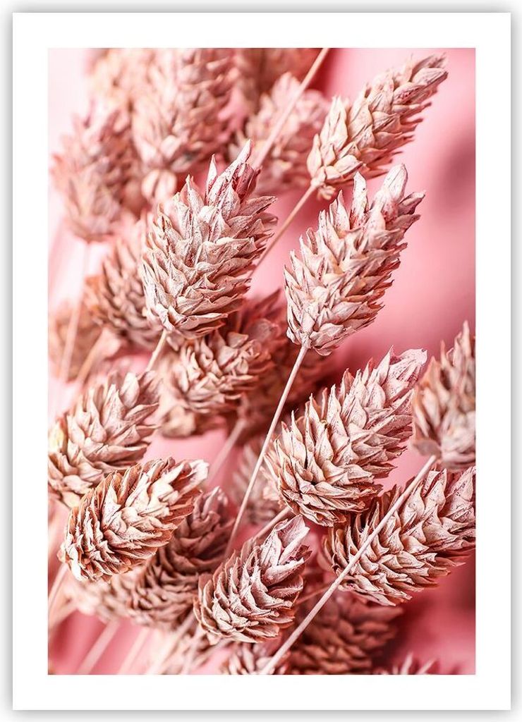 Poster - Poster ohne Rahmen - Klinge Gras getrocknet - 50x70 cm - Wand Bild - Wanddeko - Wandbilder - Kunstposter - Wandposter - Bilder - Kunstdruc...