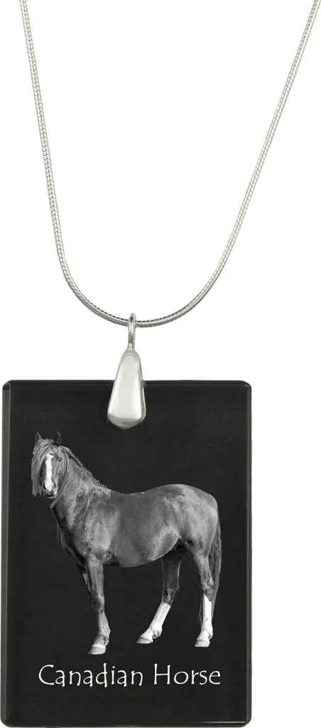 Pendente Art-Dog Cavallo Canadese | In argento con incisione laser