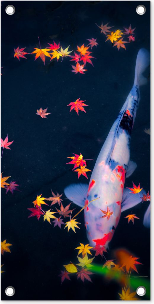 MuchoWow 30x60 cm Outdoor-Poster Gartendeko Sichtschutz Garten Poster für den Garten Koi - Fisch - Regenbogen - Blätter