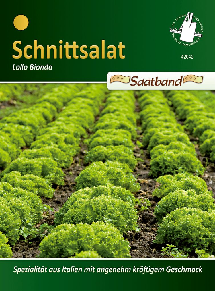 Schnittsalat Lollo Bionda (Saatband) | Salatsamen von N.L. Produktbild 
