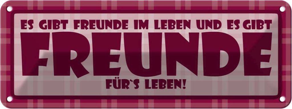 vianmo Blechschild 10x27 cm Es gibt Freunde im Leben Dekoration Spruch Zitat