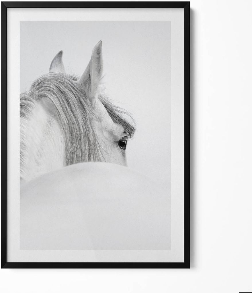 Andalusisches Pferd im Nebel– Wandbild mit Rahmen – Gerahmtes Bild – Wanddekoration – 70x100 cm – Schwarz Rahmen