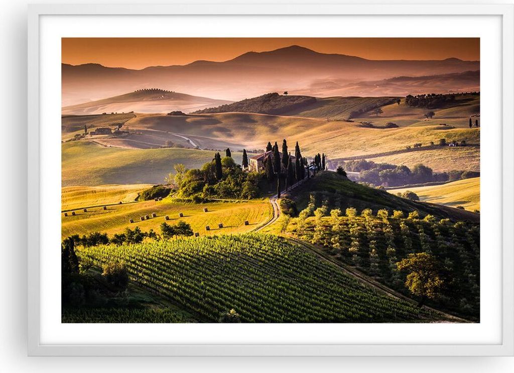 Gerahmtes Poster - Weißer Rahmen - Landwirtschaft Bauernhof Toskana Weinberg - 70x50 cm - Wand Bild - Wanddeko - Wandbilder - Wandposter - Bilderr...