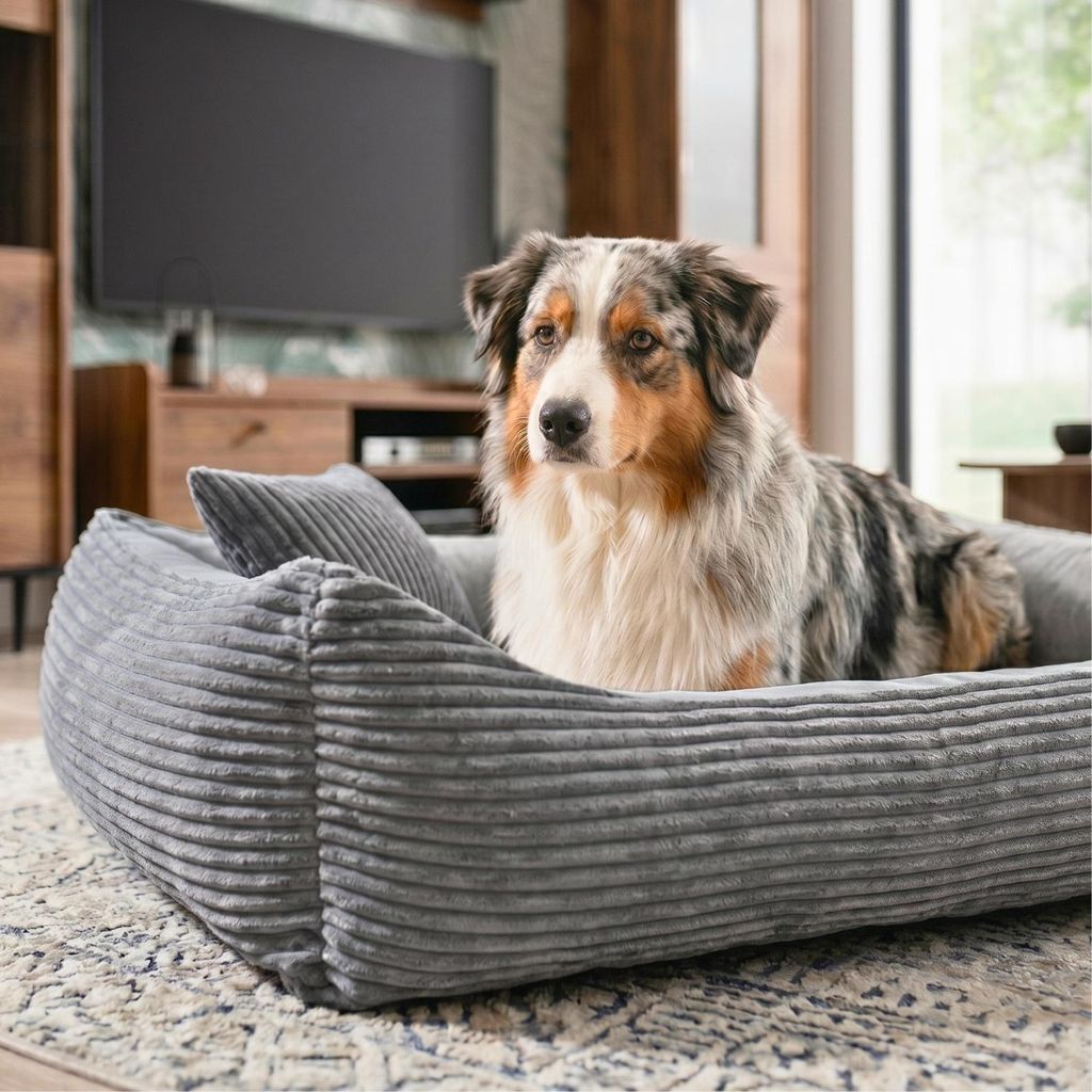 4L Textil MOLLY Cord Hundebett Grau (80x60 cm)