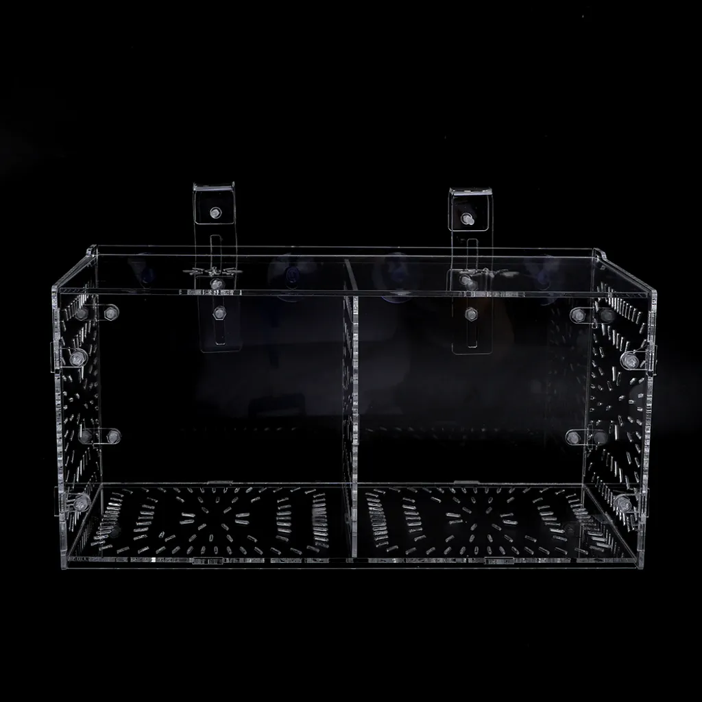 Boîte d'incubation pour aquarium : finissez-en avec la perte d'alevins