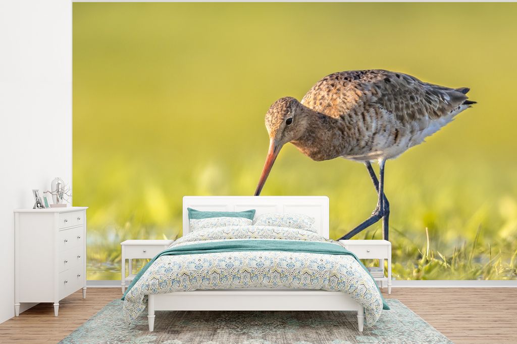 MuchoWow Fototapete für Wohnzimmer oder Schlafzimmer Wandtapete Vinyl Motivtapete Vögel - Gras - Landschaft - Uferschnepfe - 400x300 cm - Papie...