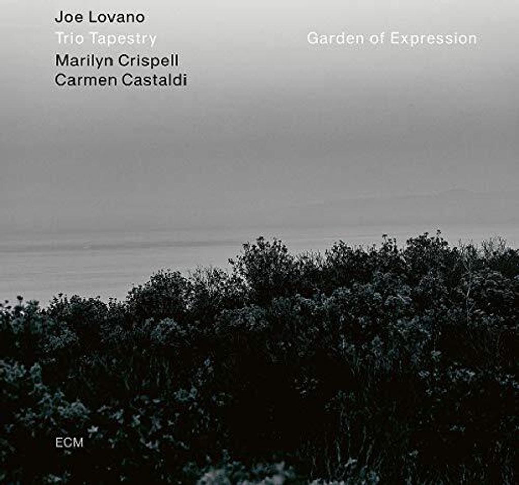 Joe Lovano - Garten des Ausdrucks Vinyl
