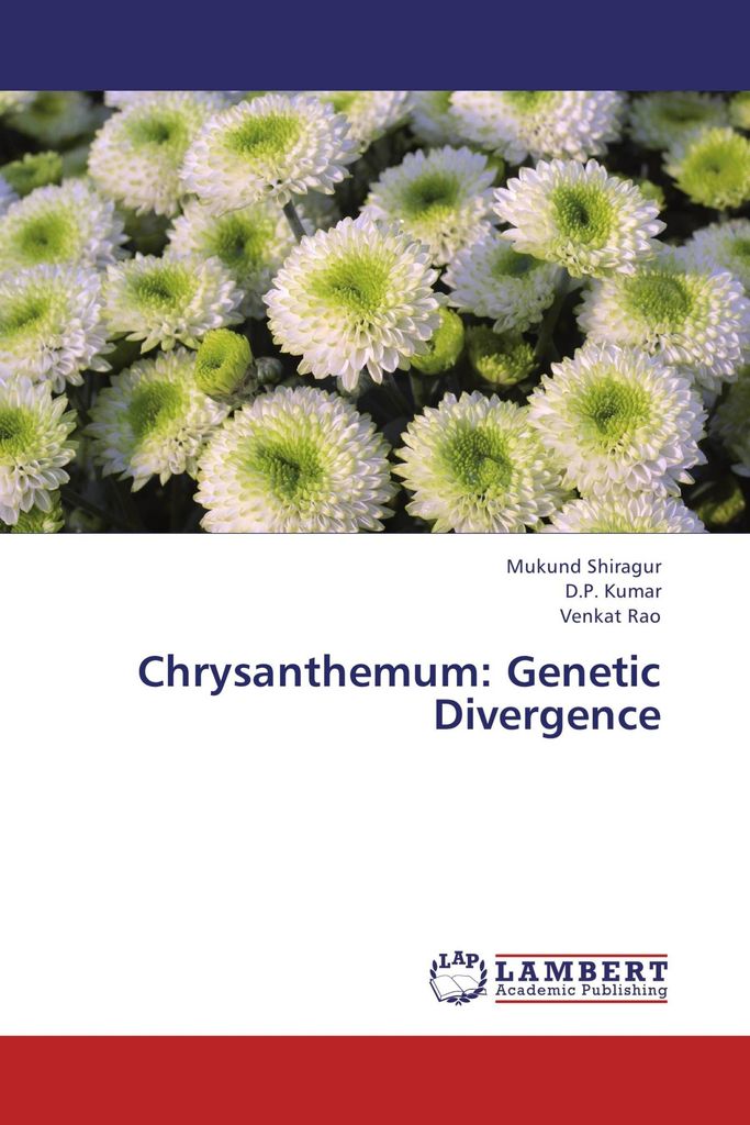 Chrysanthemum: Genetic Divergence