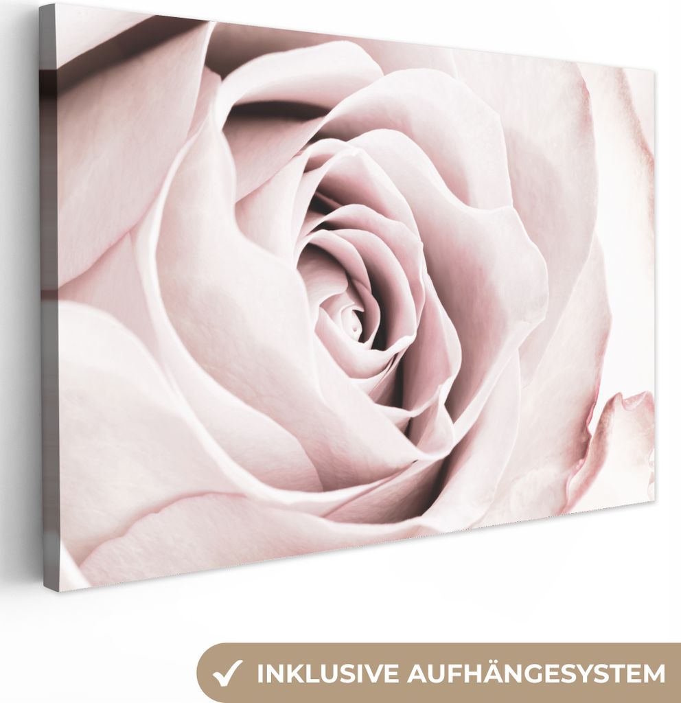MuchoWow - Leinwandbilder - Blumen - Rose - Rosa - Botanisch, Wandbild, Wanddeko Bilder Wohnzimmer, 30x20 cm