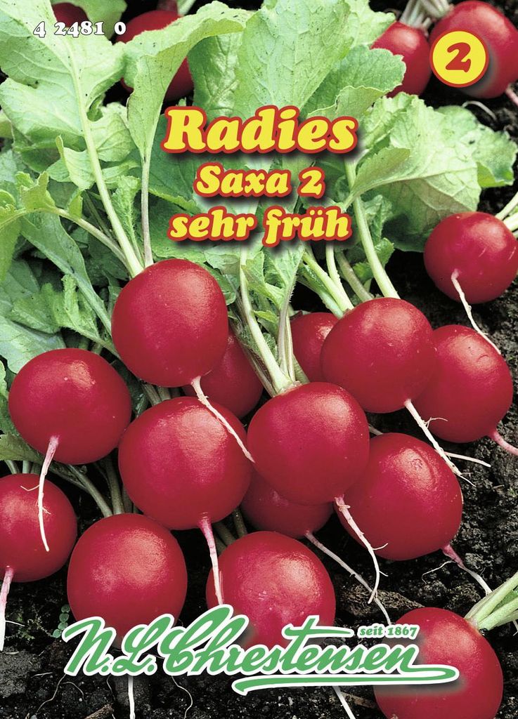 Artikelbild 1 von 'Radies Saxa 2' aus der Kategorie Radieschensamen