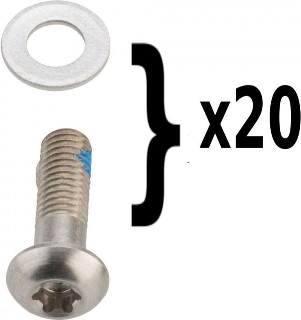 Sram Flat Mount Caliper Bracket Schrauben 15 mm Silber