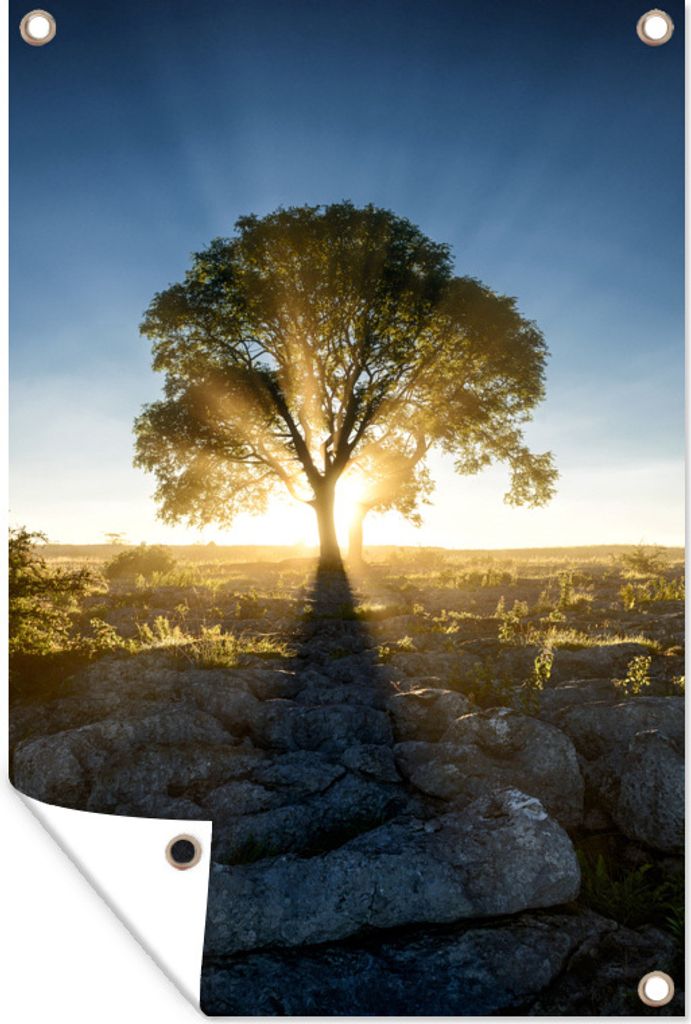 MuchoWow 40x60 cm Outdoor-Poster Gartendeko Sichtschutz Garten Poster für den Garten Sonnenstrahlen entlang eines Baumes an einem nebligen Morgen