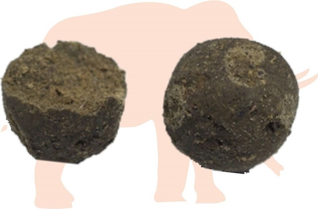 Mastodont Baits neutral ausgewogene Boilies KOSA N/W Kork 300g BM01009