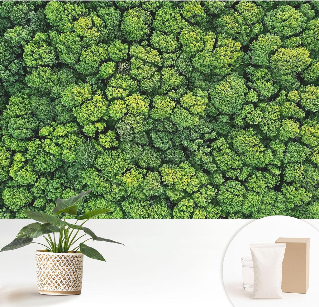 Fototapete - 152x104 cm - Tapete - Wandtapete - Wandbilder - Dekofolie - Tapete Folie - Wand - Dekoration - Wohnzimmer - Waldpanorama