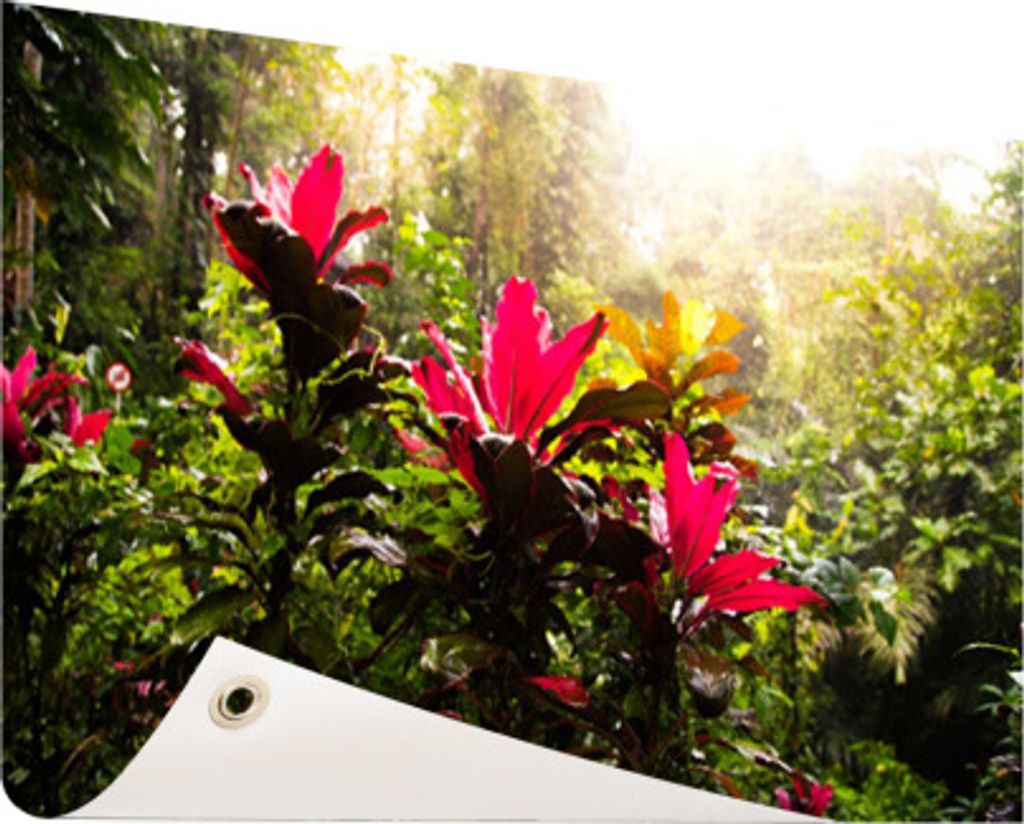 Gartenposter - 120x80 cm - Schöne Blumen in der Mitte des Dschungels - Modernes Wandbilder - Natur