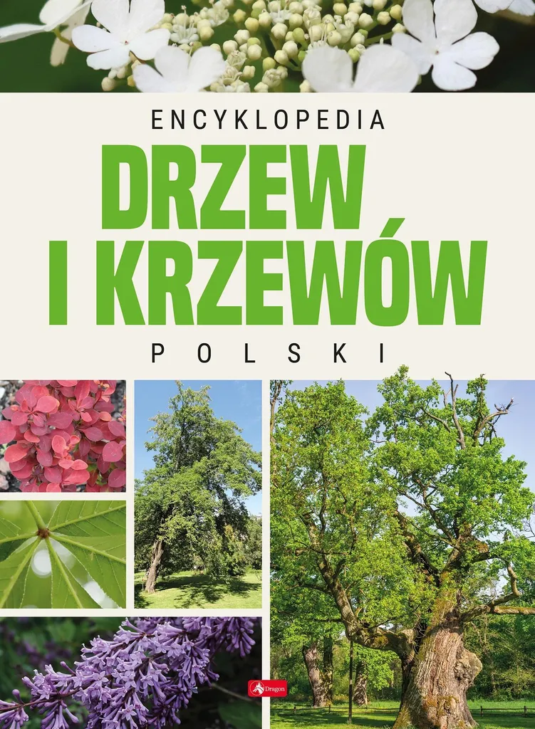 Guide Identification Arbres de Pologne : Encyclopédie pour Naturalistes