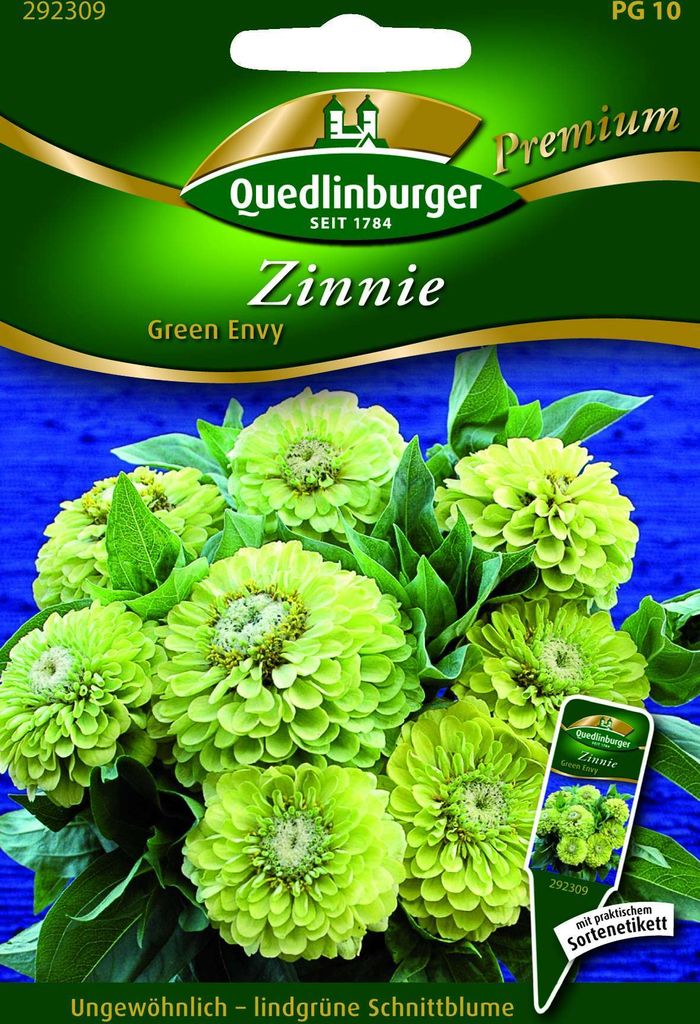 Zinnien Green Envy | Zinniensamen von Quedlinburger Produktbild 