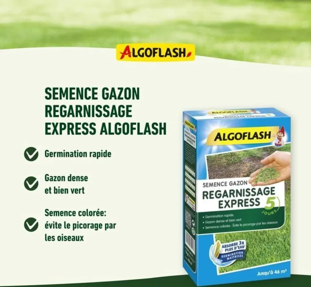 Réparer un Gazon Clairsemé : Graines Algoflash Express Grass 3 kg Efficace - 2