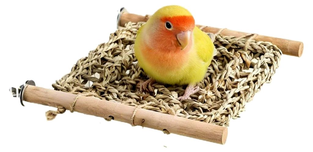 Vogelsitzstangen für den Käfig, Spielstand aus Holz für Sittiche - Zubehör für Wellensittichkäfige - geeignet für Nymphensittiche, Unzertren...