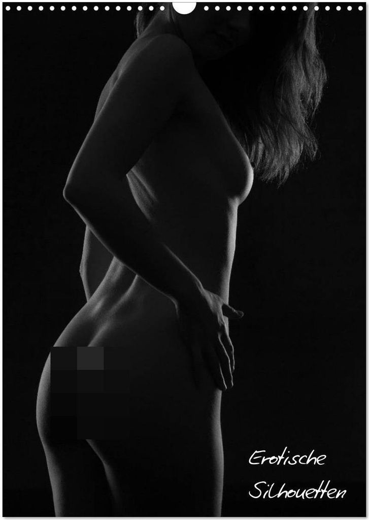 Erotische Silhouetten / CH-Version (Wandkalender 2026 DIN A3 hoch), CALVENDO Monatskalender