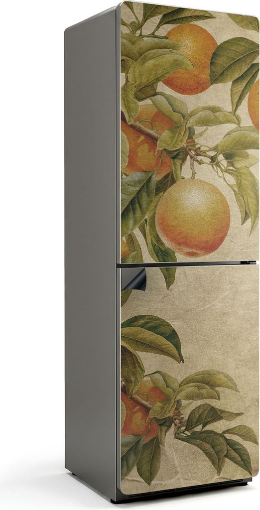 Zweige mit Früchten – Magnetische Kühlschrank Abdeckung – Dekorfolie magnetisch Küche – Kühlschrank Magnet Deko – selbstklebende Magnet...