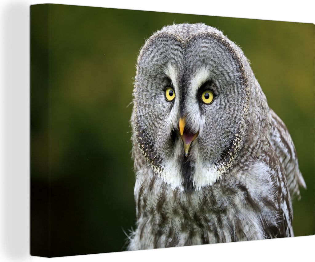OneMillionCanvasses - Leinwandbilder - 150x100 cm, Vogel - Eule - Grau, Wandbilder Kunstdruck Wanddekoration