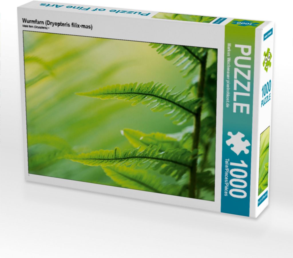 CALVENDO Puzzle Wurmfarn (Dryopteris filix-mas) | 1000 Teile Lege-Größe 64x48cm Foto-Puzzle für glückliche Stunden