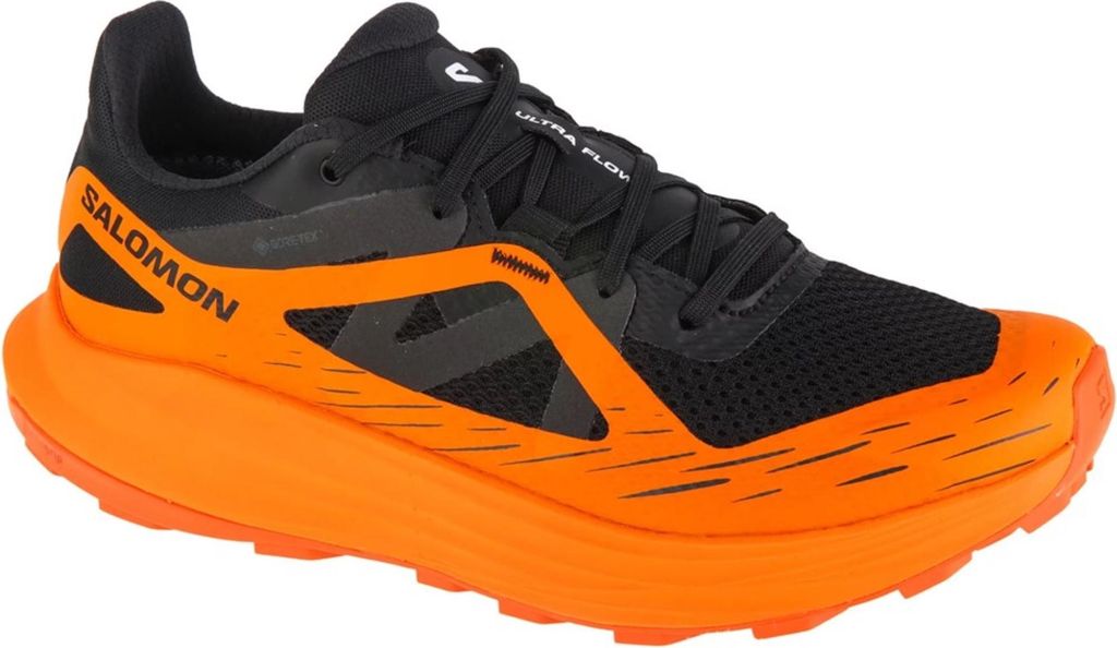 Schuhe Salomon Ultra Flow Gtx 474740