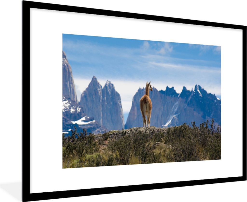 MuchoWow Gerahmtes Poster Ein Reh mit Blick auf den Pehoe-See im Nationalpark Torres del Paine 90x60 cm - Poster mit Schwarzem Bilderrahmen Wandp...