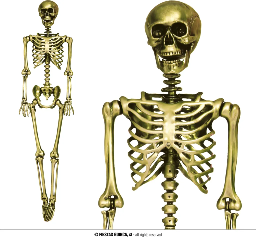 Tête de mort Halloween avec squelette articulé aspect os naturel
