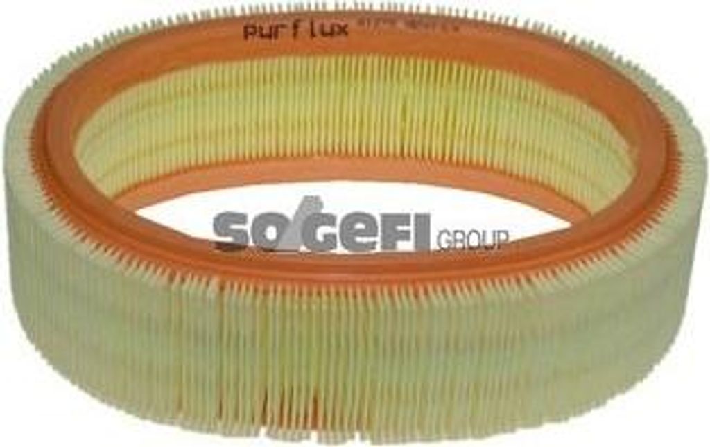 PURFLUX A1278 Luftfilter OE 7700274216 kompatibel mit Logan, Sandero, Solenza, Supernova, Clio, Kangoo, Megane, Thalia
