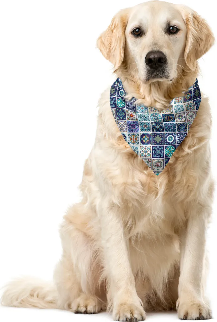Bandana per Cani Lavabile ABAKUHAUS - 55x55 cm Poliestere Resistente