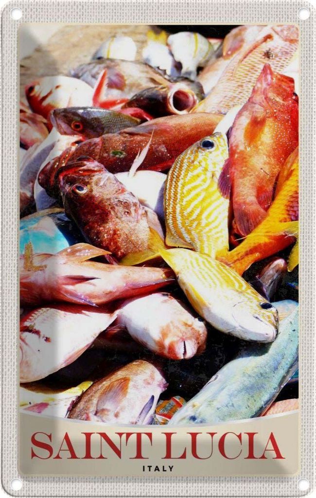 vianmo Blechschild 18x12 cm Saint Lucia Italien Europa Fische Bildmotiv Reisemotiv Abenteuer Reisen Urlaub