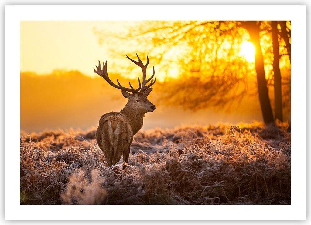 Poster - Poster ohne Rahmen - Herbst landschaft natur blatt - 70x50 cm - Wand Bild - Wanddeko - Wandbilder - Kunstposter - Wandposter - Bilder - Ku...