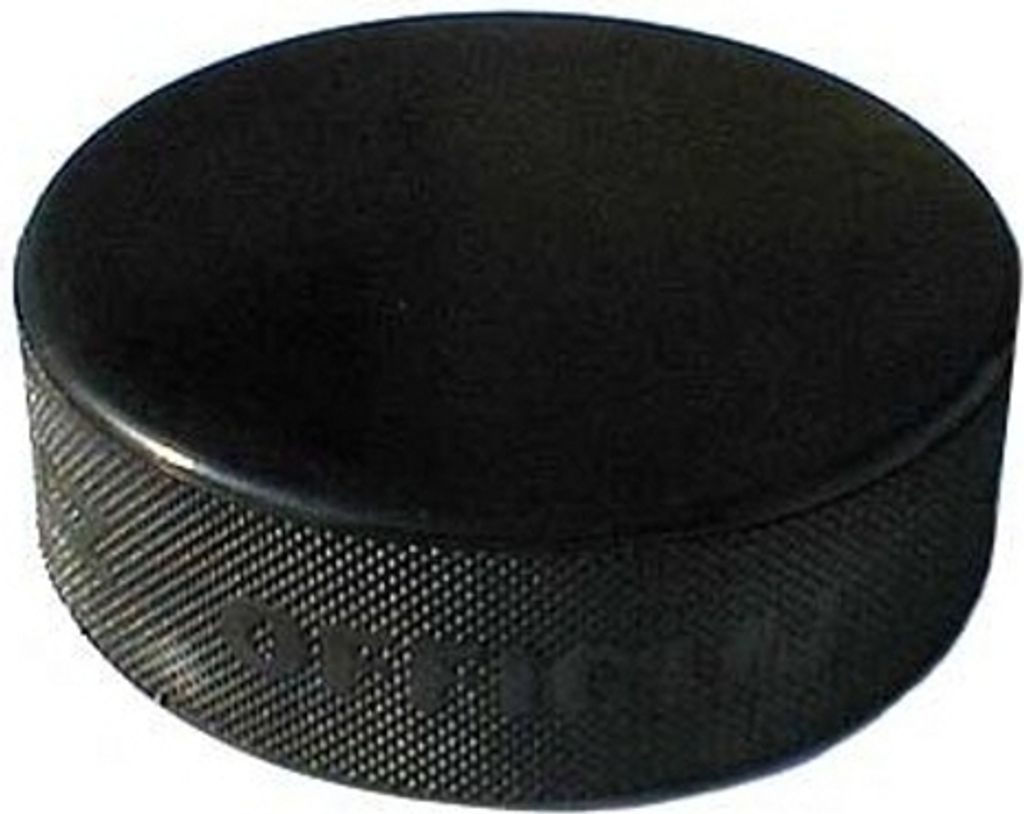 A single black hockey puck on a white background.