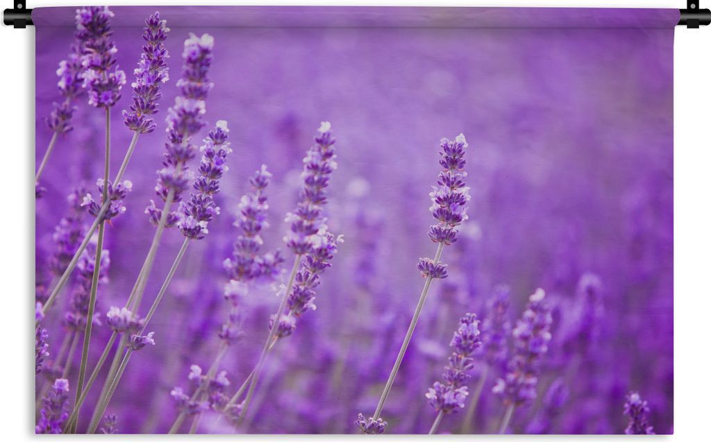 MuchoWow Wandteppich Wandbehang Lavendel - Nahaufnahme - Blumen - Lila 60x40 cm Tapisserie Dekoration Wandtuch - Wanddekorationen