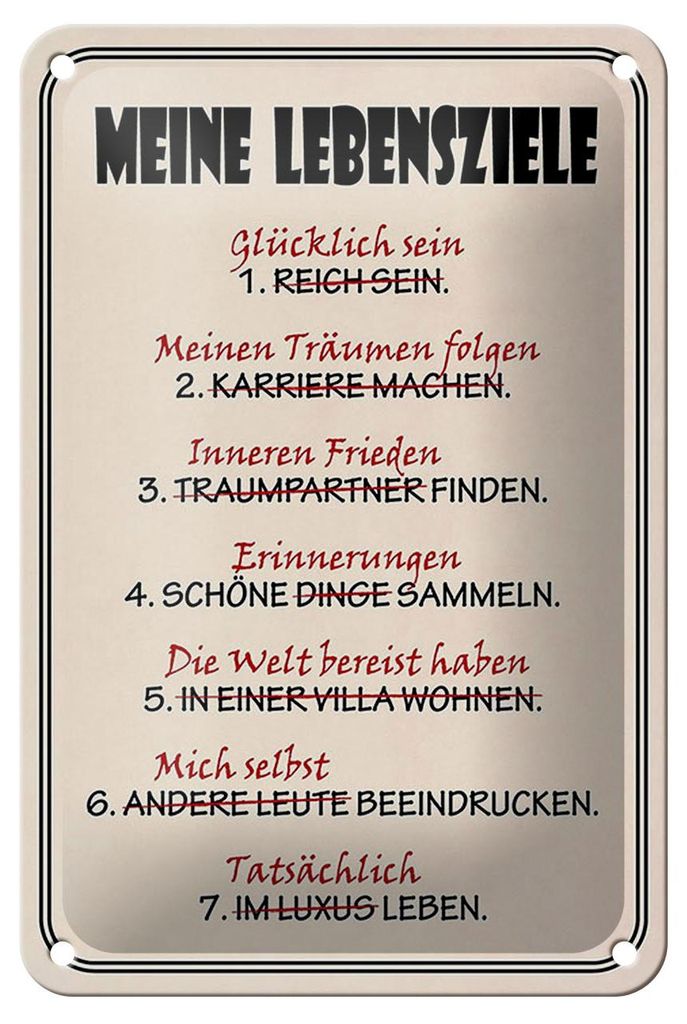 Blechschild Spruch 12x18cm meine Lebensziele glücklich