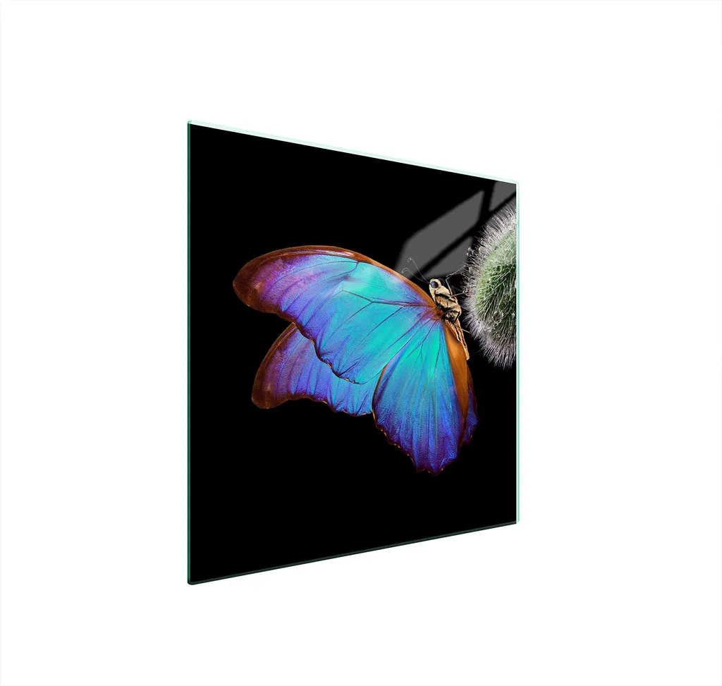 Piastra Protezione 50x52 Professionale Butterfly | Vetro ESG Antigraffio