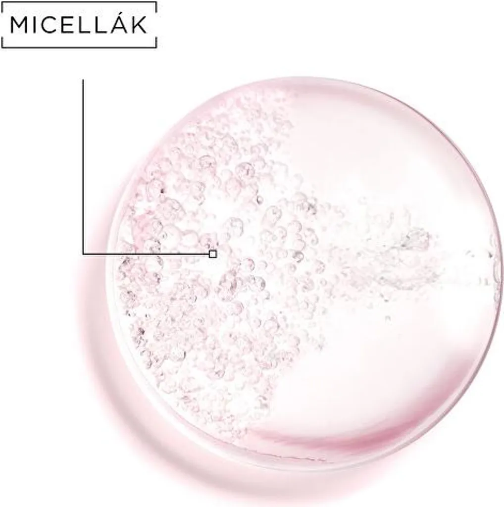 Garnier Eau Micellaire Biphasée à l'Huile d'Argan 400ml Nettoyant Doux