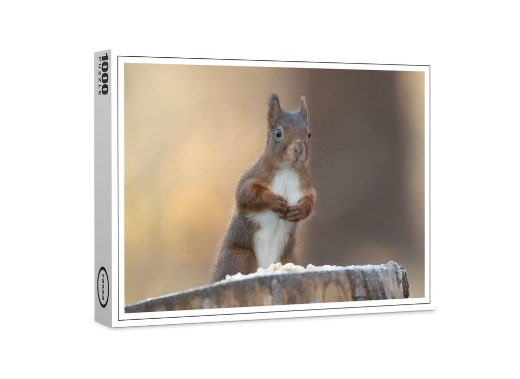 raxxa Premium-Puzzle "Eichhörnchen mit niedlichen Blick", 1000 Teile