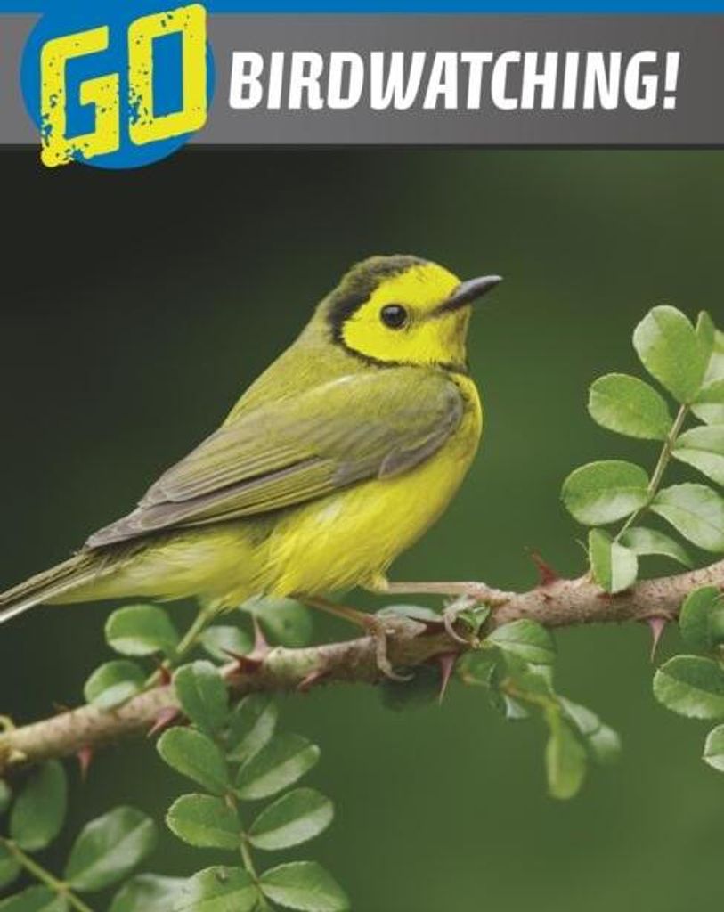 Go Birdwatching!