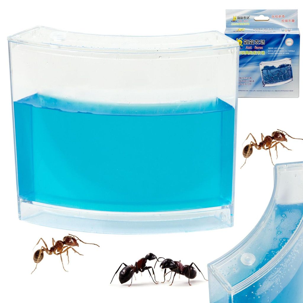 Acquario educativo in gel per formiche Immagine del prodotto 