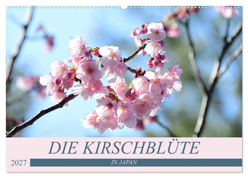 Die Kirschblüte in Japan (Wandkalender 2027 DIN A2 quer), CALVENDO Monatskalender